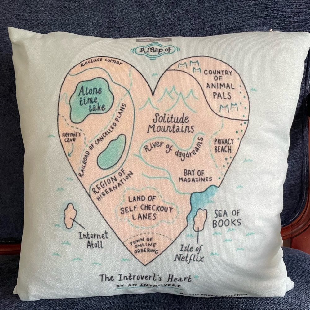 “Map of the Introverts Heart” — 16” cushion cover